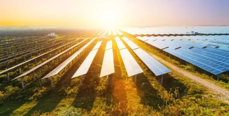 A field full of solar panels on a sunny day.