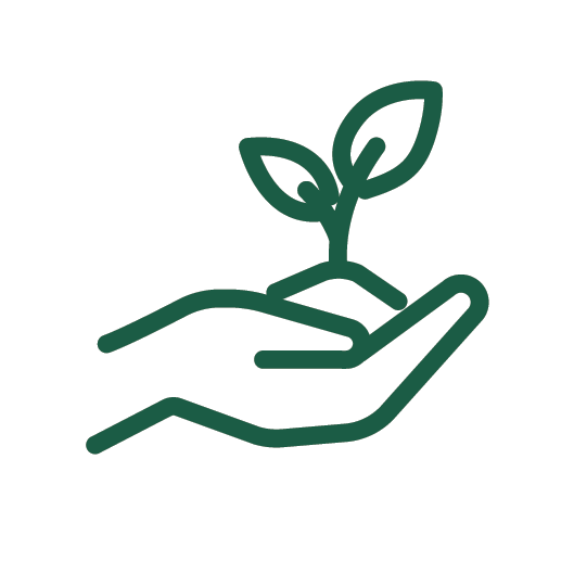 Statistic icon