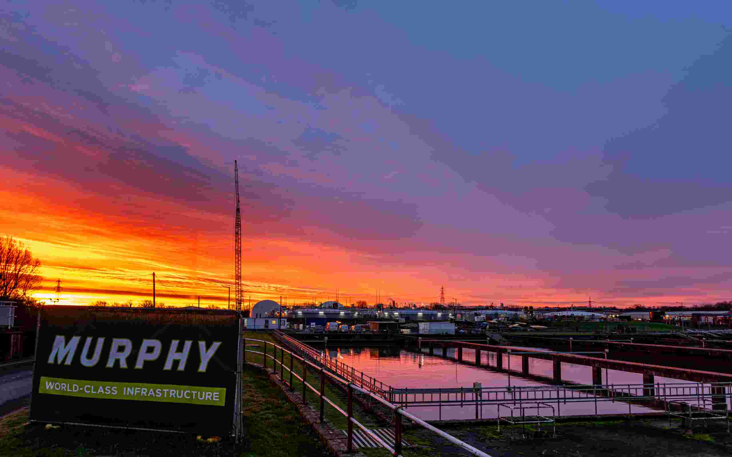Murphy Group Banner Image